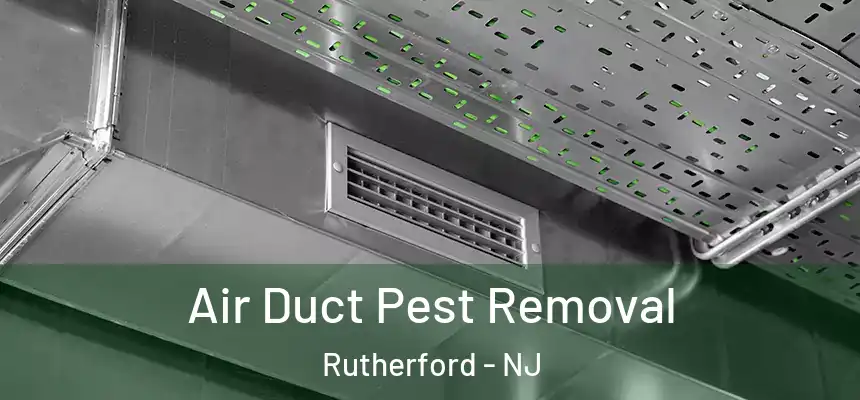 Air Duct Pest Removal Rutherford - NJ