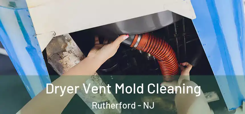 Dryer Vent Mold Cleaning Rutherford - NJ