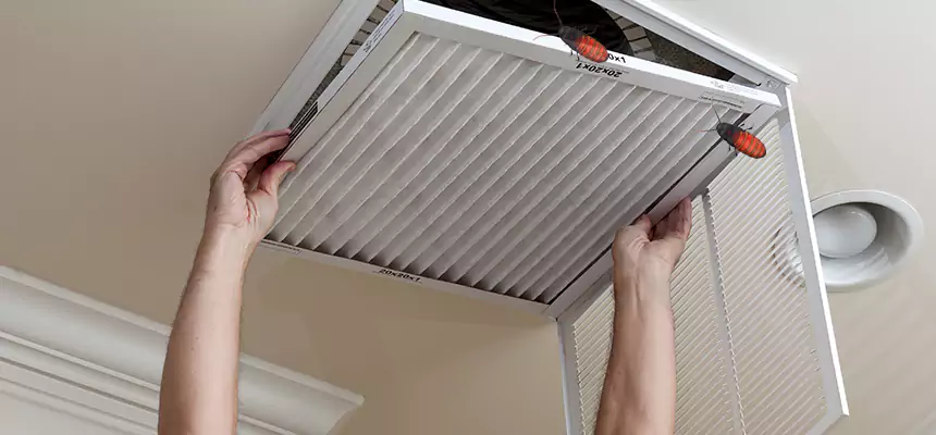 Our Insect Removal from Air Ducts Services in Rutherford, NJ