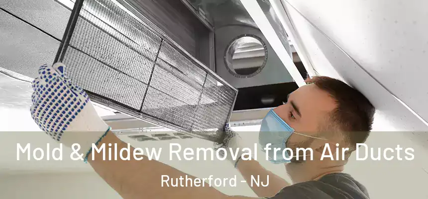 Mold & Mildew Removal from Air Ducts Rutherford - NJ