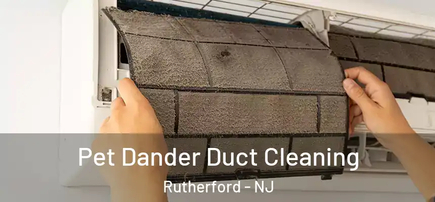 Pet Dander Duct Cleaning Rutherford - NJ