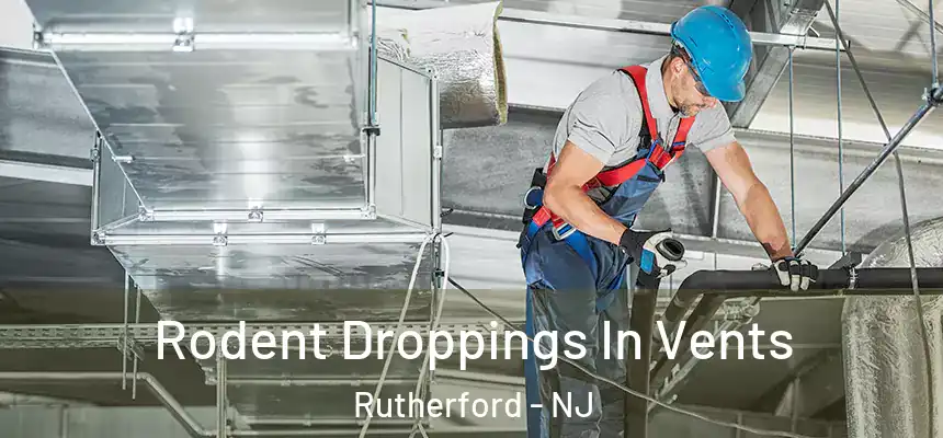 Rodent Droppings In Vents Rutherford - NJ