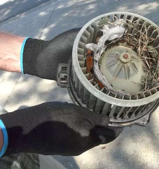 About Air Duct Rat Removal in Rutherford, NJ