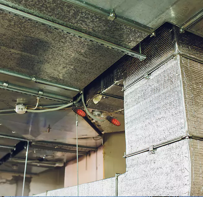 Why Homeowners & Businesses Trust Us in Rutherford, NJ?