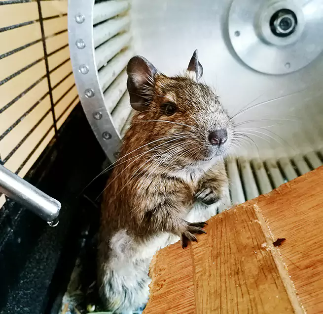 Why Homeowners & Businesses Trust Us Rutherford, NJ?