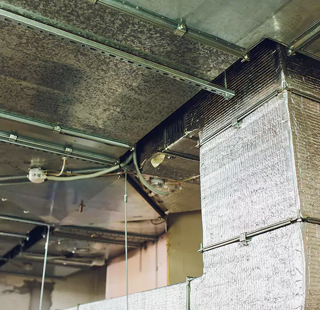 Why Homeowners & Businesses Trust Us in Rutherford, NJ?